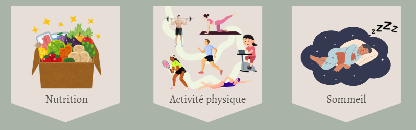 Les trois piliers : Nutrition, Activité physique, Sommeil